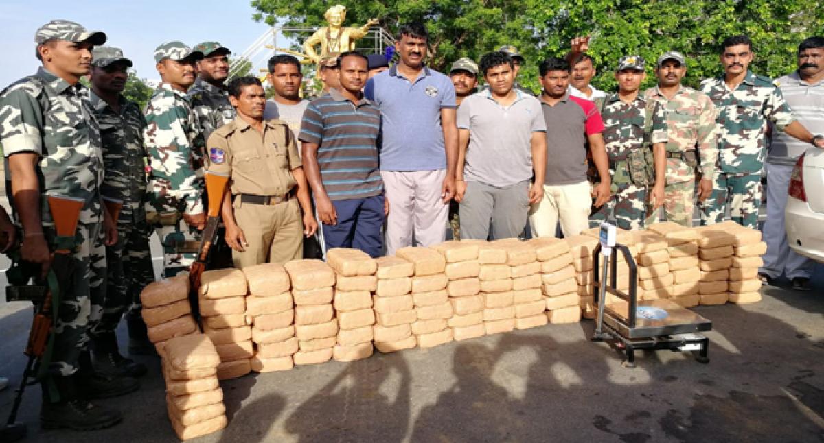 300 kg ganja seized; one held