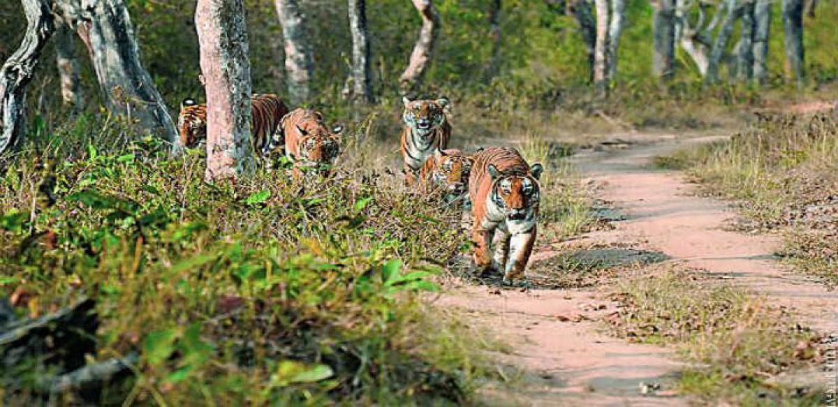 Preserving nature’s harmony