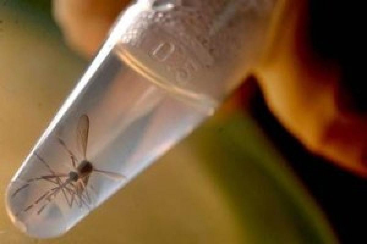 First case of Zika virus detected in South Africa