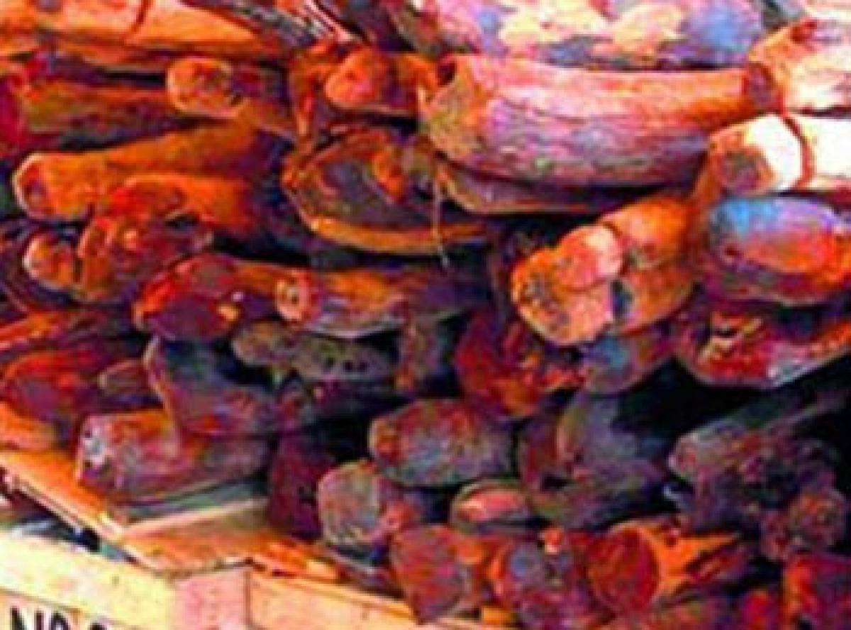 Red sanders worth 3 crore seized