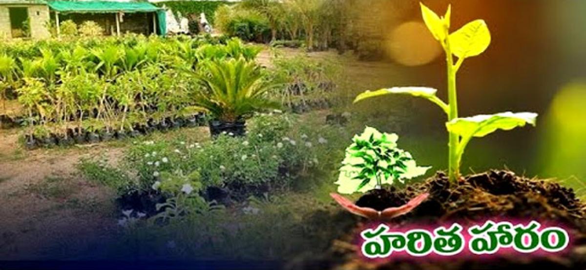 Officials told to make Haritha Haram a success