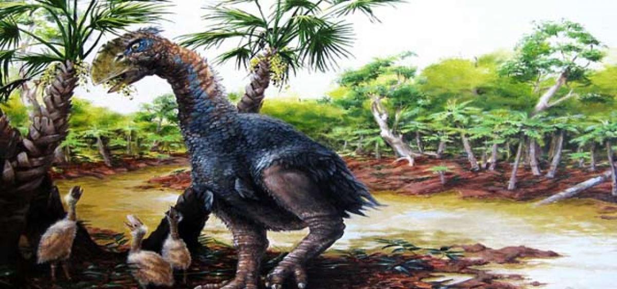 New prehistoric bird species discovered: Study