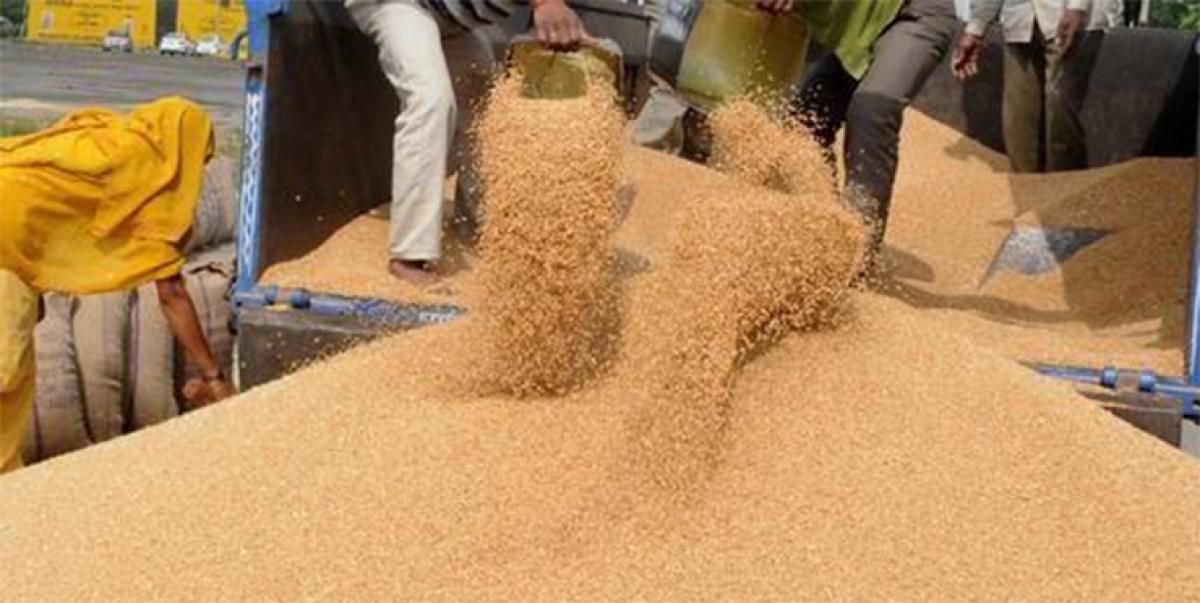 India inks deal to import tonnes of wheat to Australia