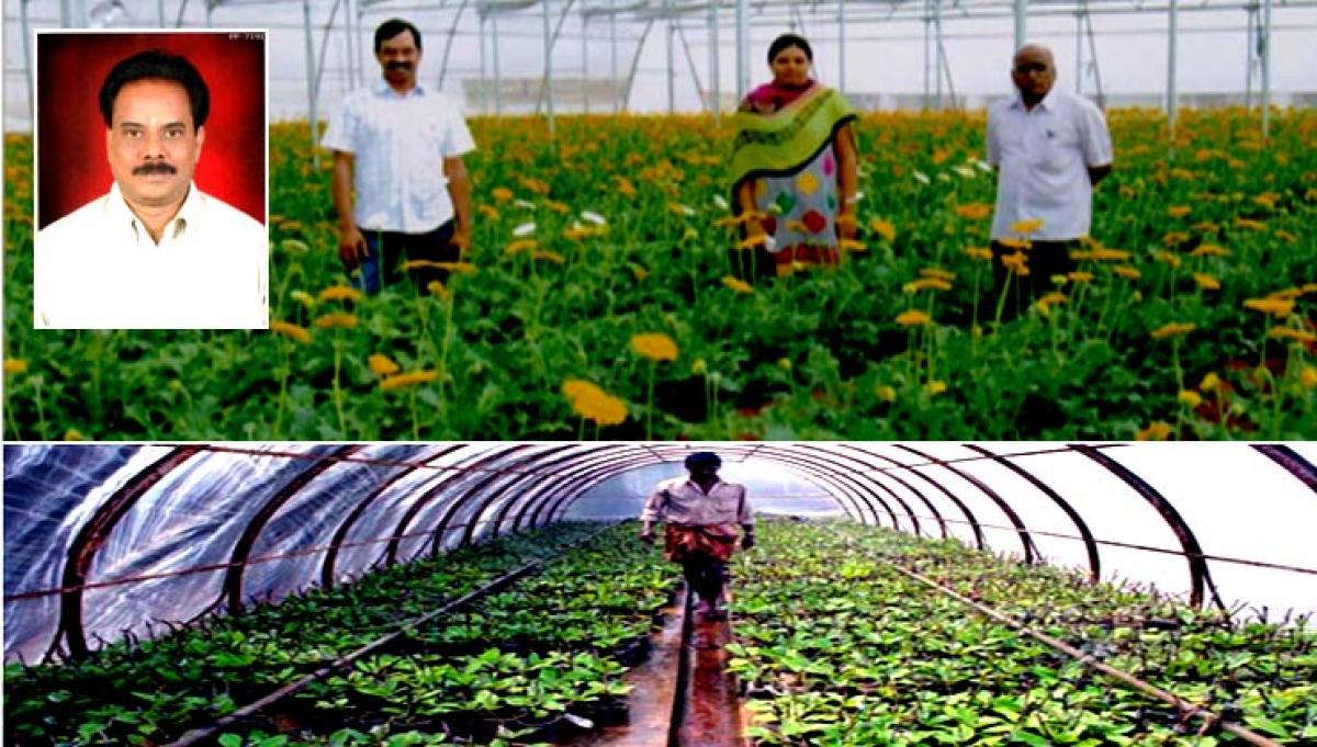 Horticulture As Growth Enginee For Farm Sector In Bangaru Telangana