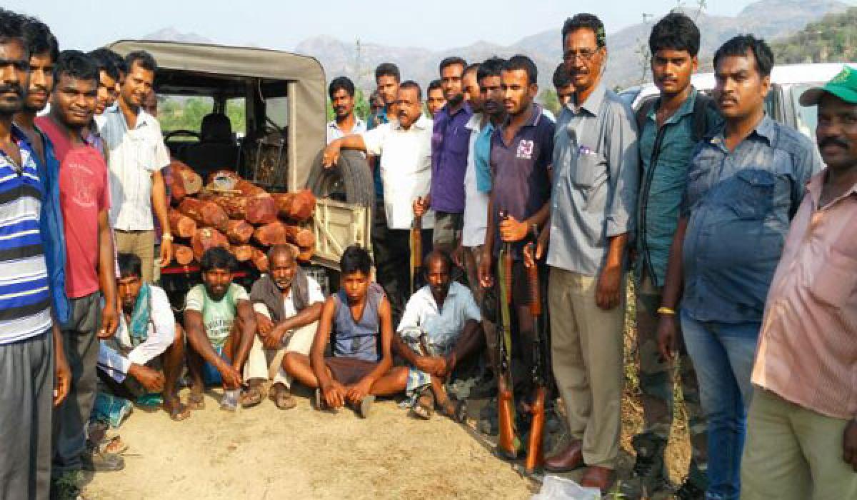 Forest personnel open fire in air, arrest 5 smugglers