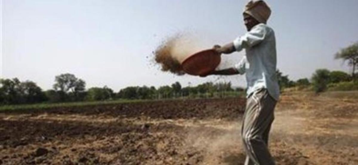 Demand for fertilisers likely to grow by 5 per cent in FY18: India Ratings