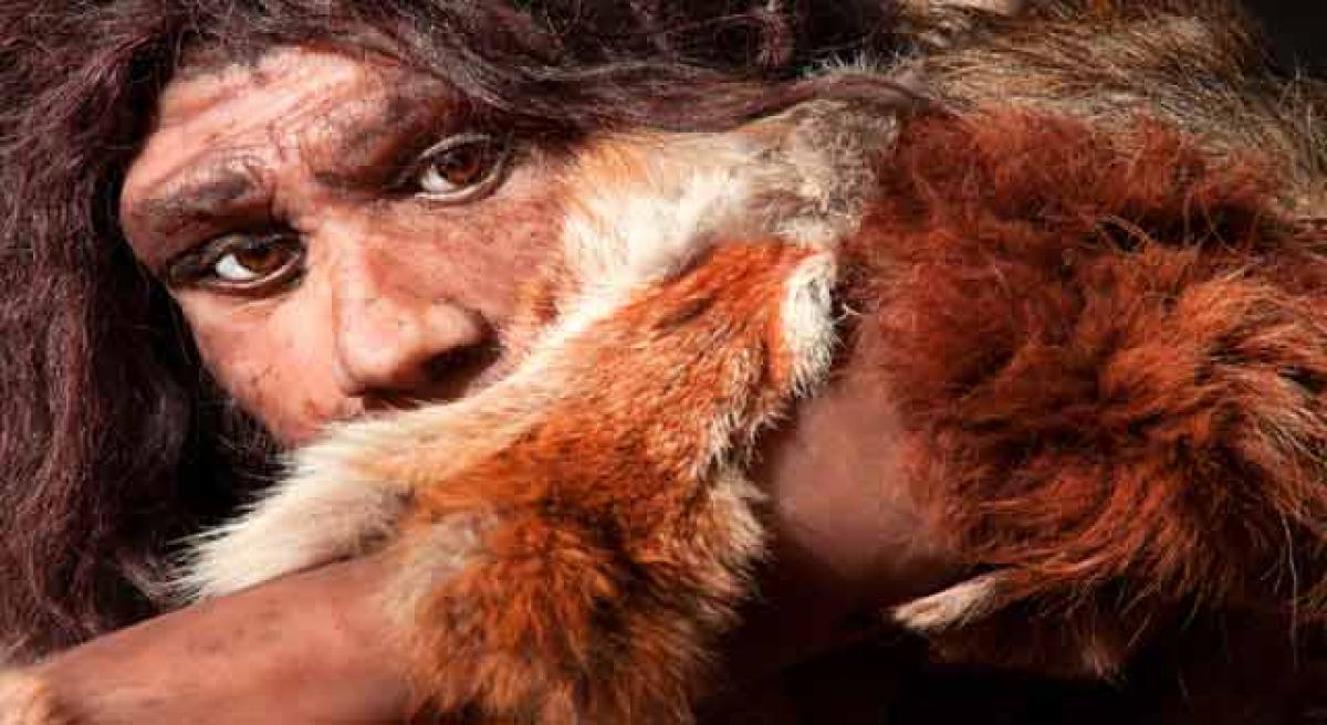 Did diet give humans evolutionary edge over Neanderthals?
