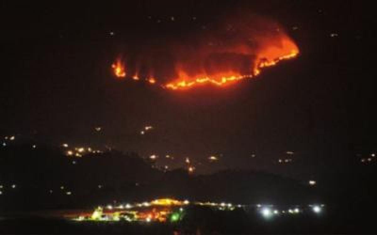 Rising temperature caused forest fire in Shimla