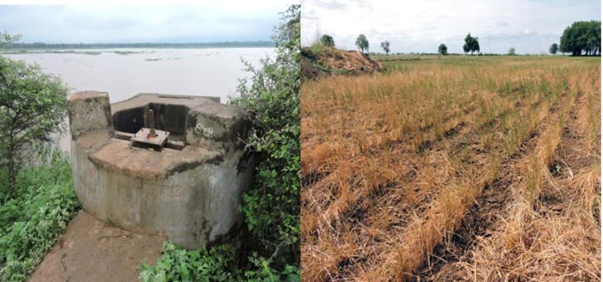 Siddapuram tank ‘laskars’ cause crops to wither away