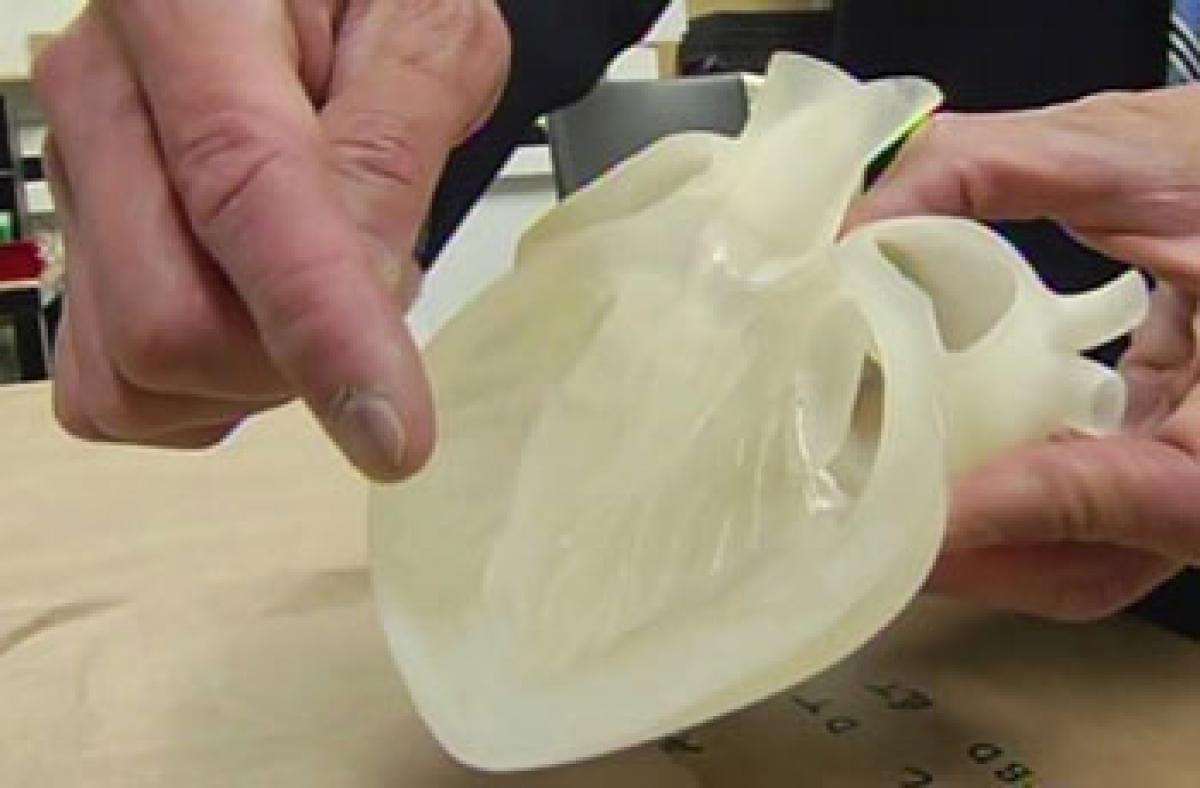 3D printed human organ models to get cheaper