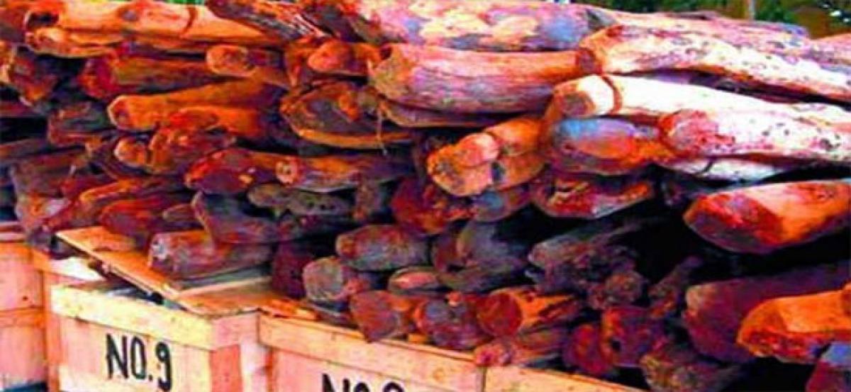 Two cops held for red sanders smuggling