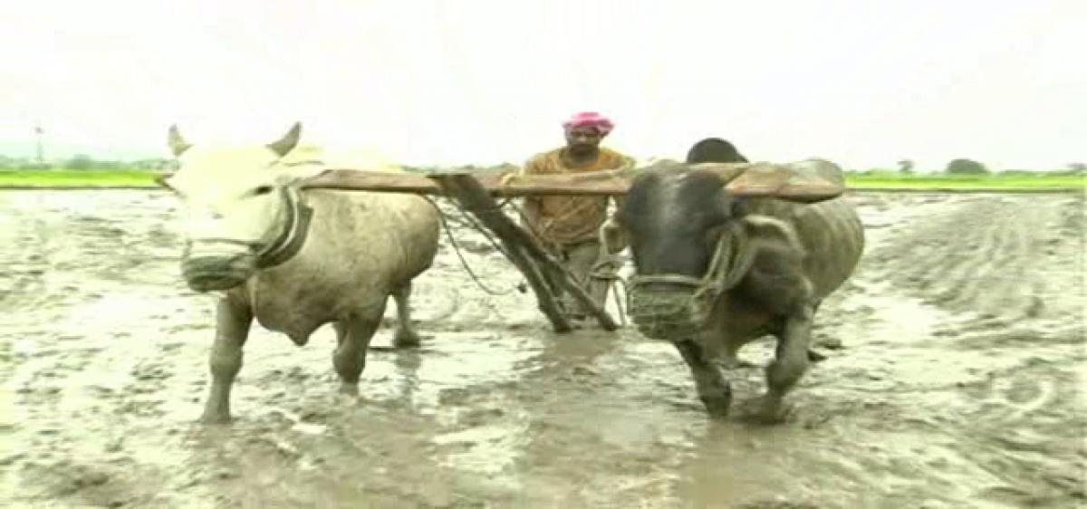 Farmers worry over Kharif crops
