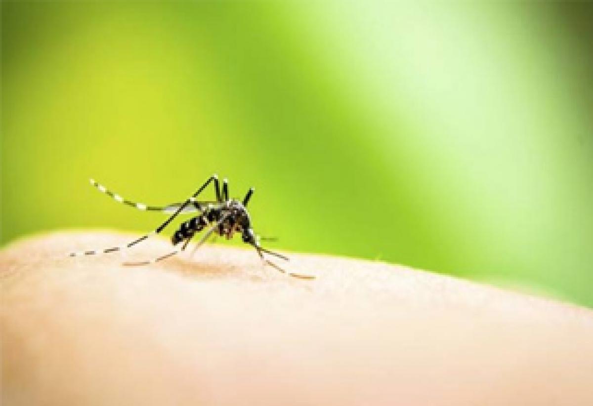 Two more dengue deaths in Bengal