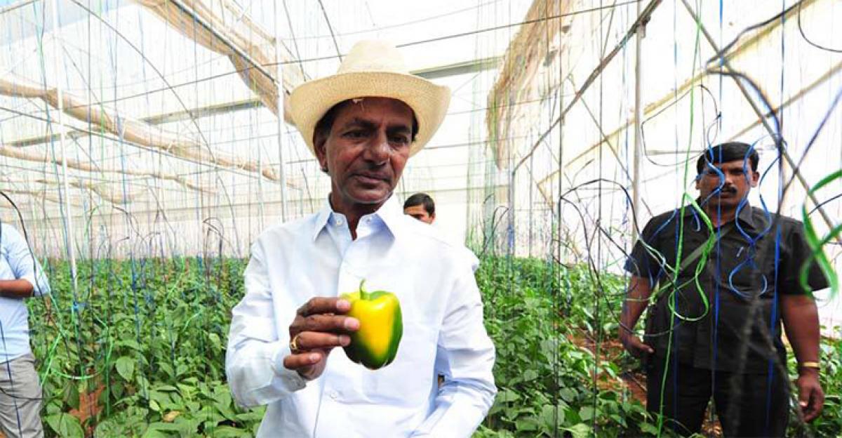 KCR vows to make farming profitable