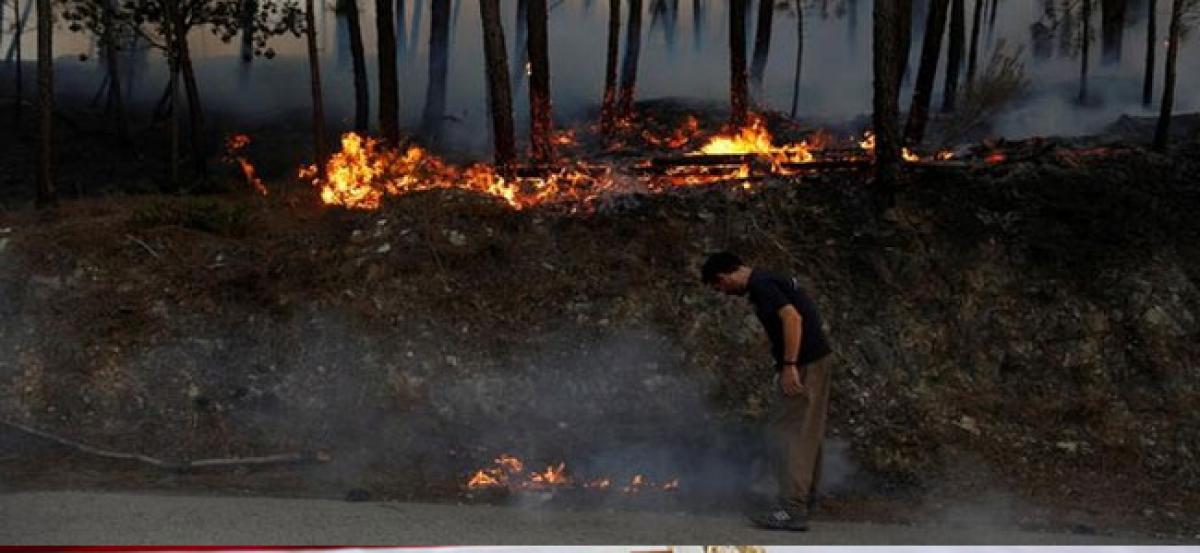 Death toll in Portugal wildfire rises to 27