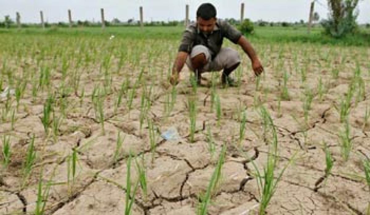 Telangana facing worst drought in living memory