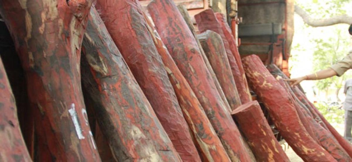 Task Force Effective In Curbing Red Sanders Logs Smuggling