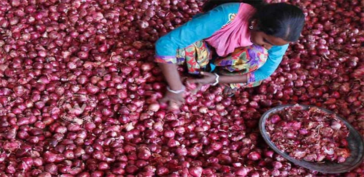 Onions cost 8 crore to govt