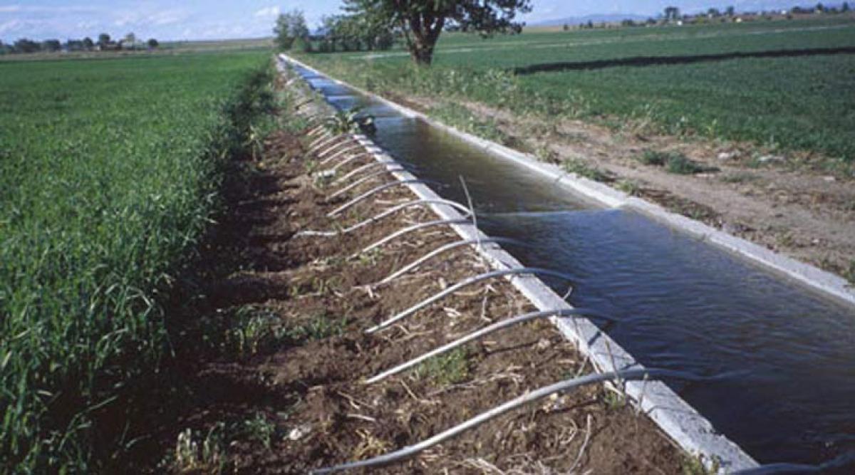 Source-wise Irrigation in Bangaru Telangana