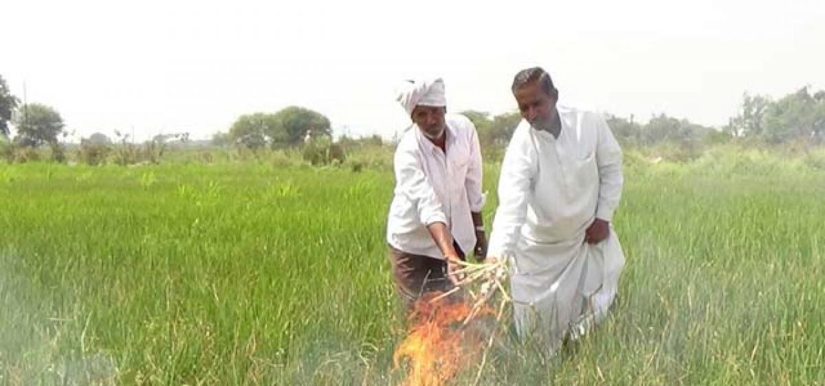 Nizamabad Paddy farmers facing immense hardships