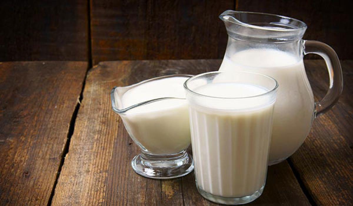 Drinking whole-fat milk may make kids leaner