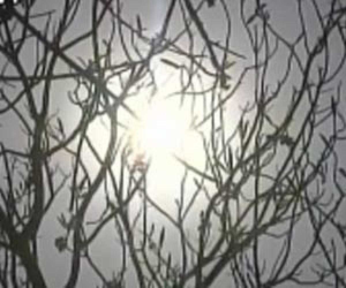 North India may see a drop in temperature: MeT