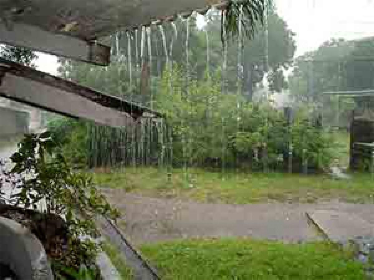 Monsoon hits Odisha ahead of scheduled arrival