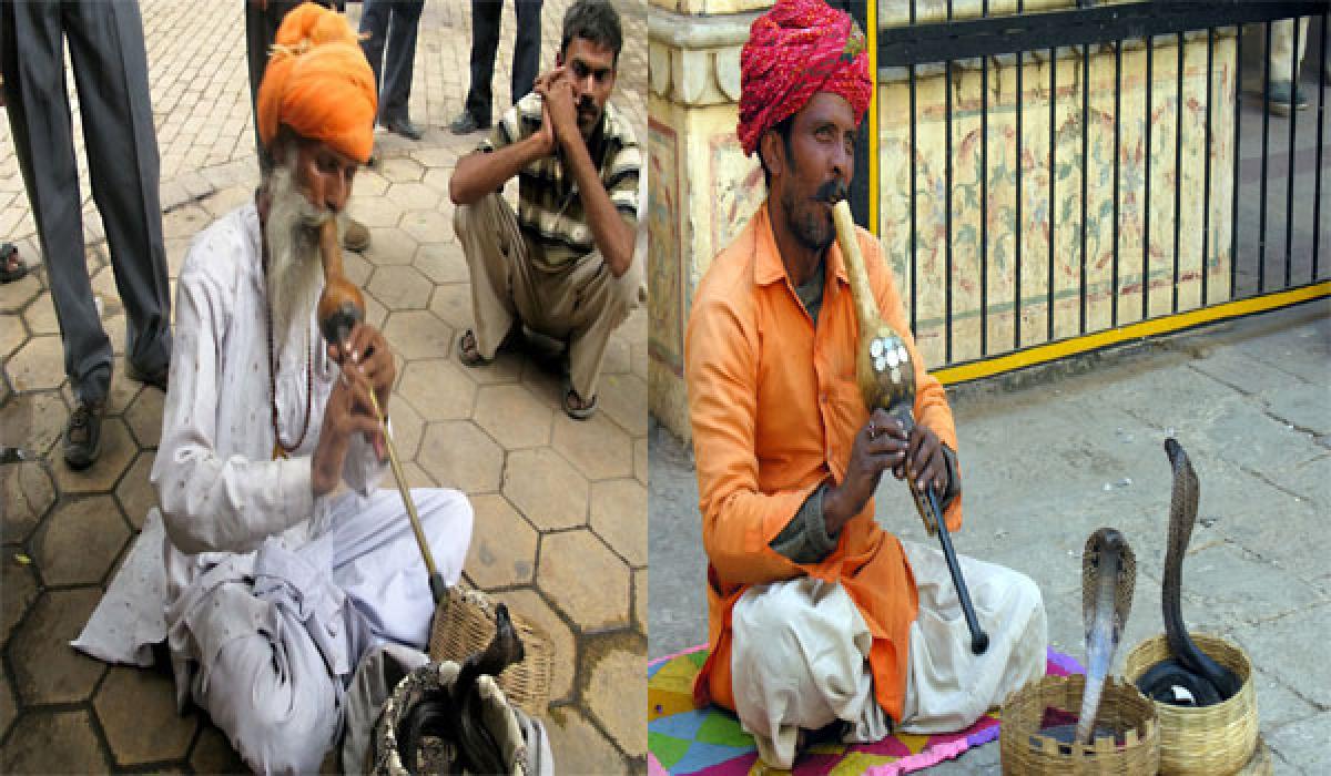 Snake charmers now to the rescue of reptiles