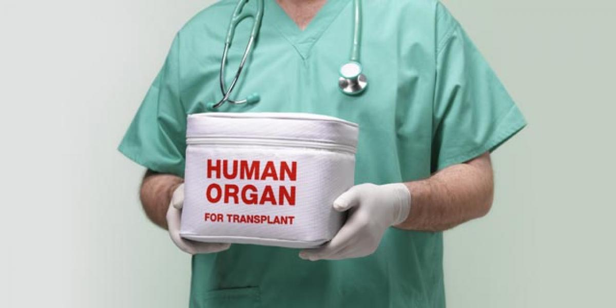 Can legalisation prevent fleecing of organ donors?