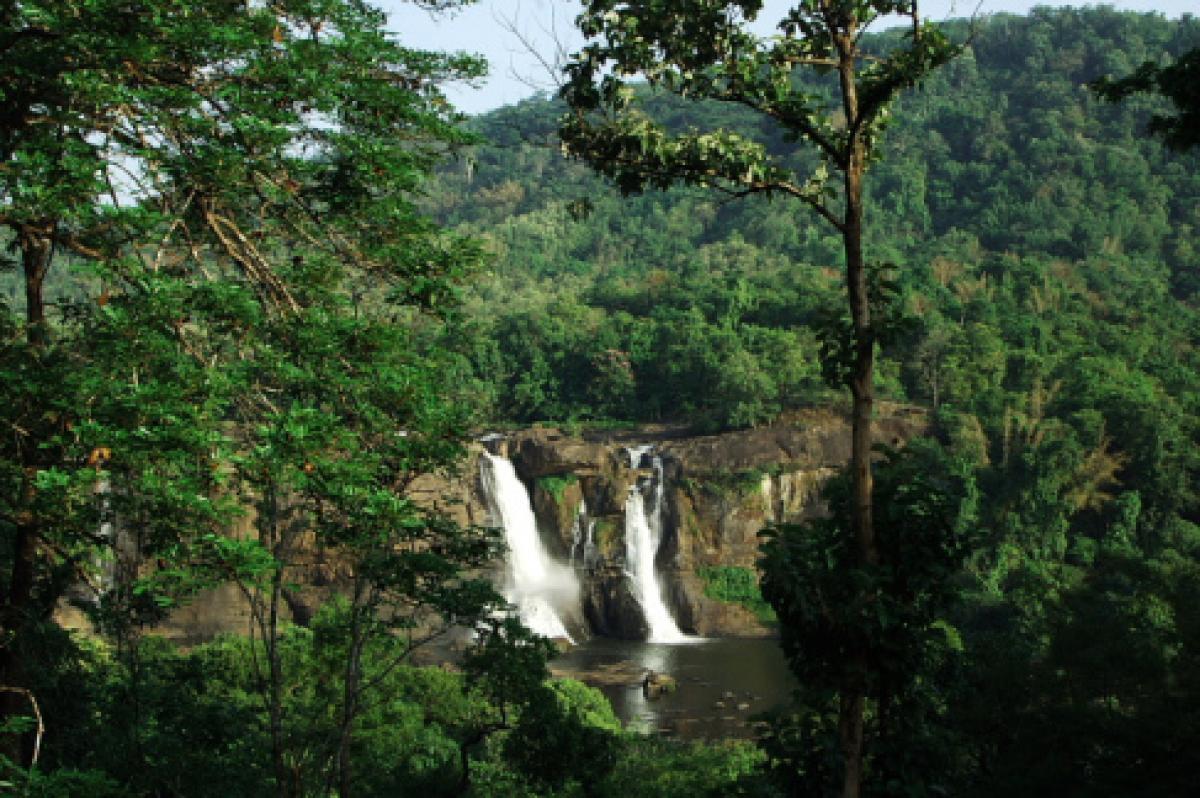 Bank officer turns wildlife enthusiast in Kerala