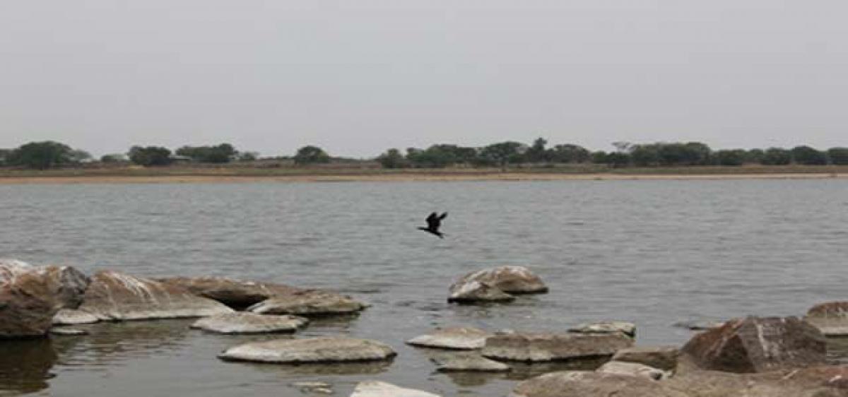 Ameenpur Lake declared Biodiversity Heritage Site