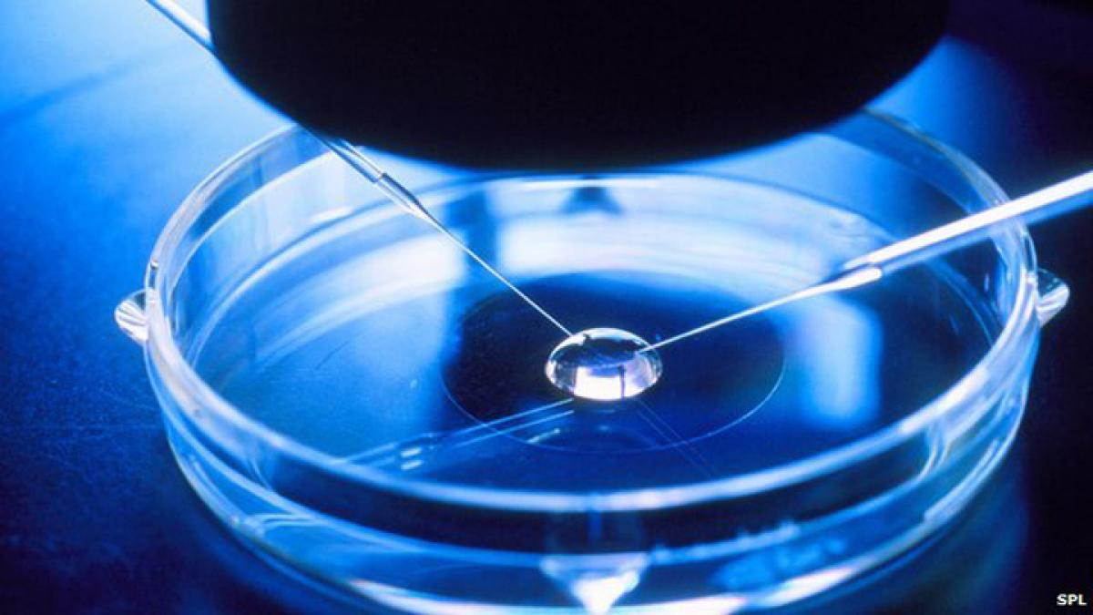 Genetic pattern linked to IVF failure identified