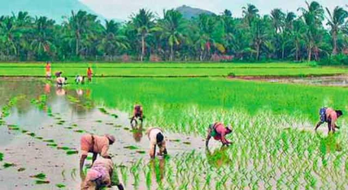 Farmers for direct transfer of subsidy money