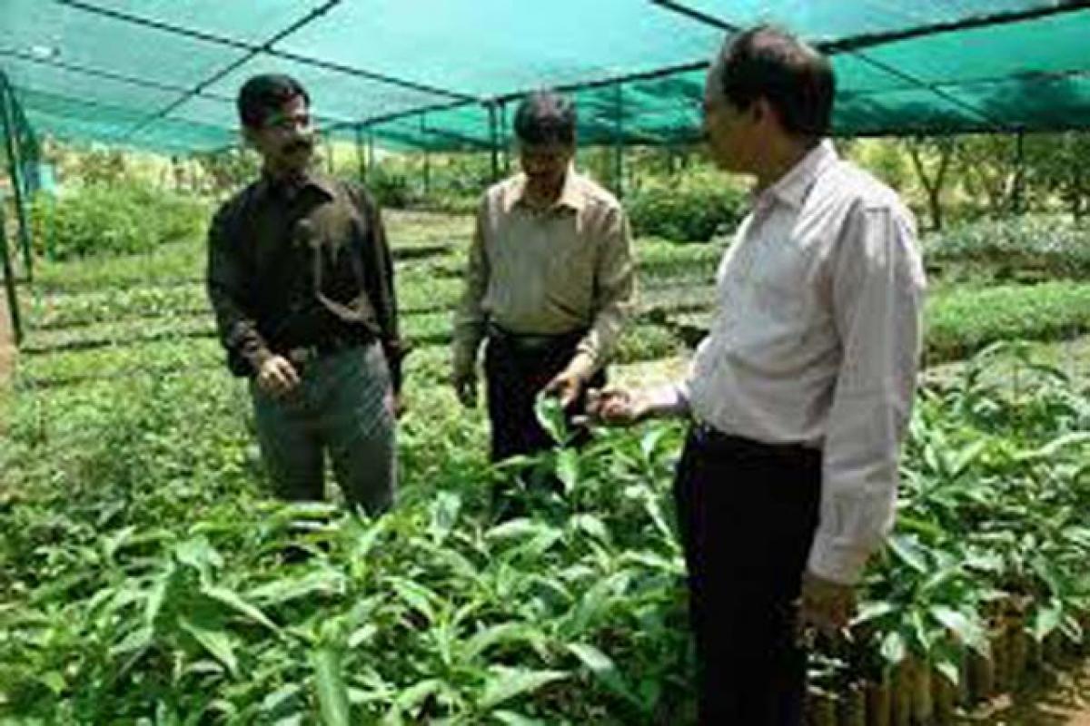 30k-cr Nabard credit to farmers on the cards