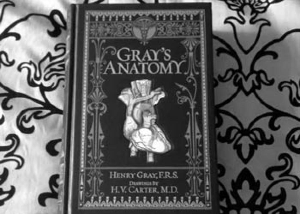 Gray Anatomy author a plagiarist?