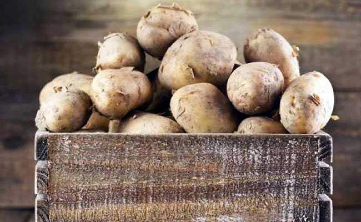 Centre To Buy 1 Lakh Tonnes Potato From UP To Help Farmers