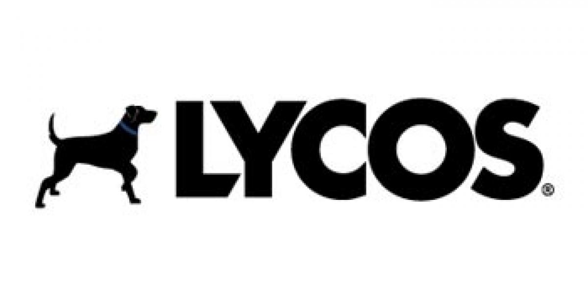 Lycos gets new global CFO