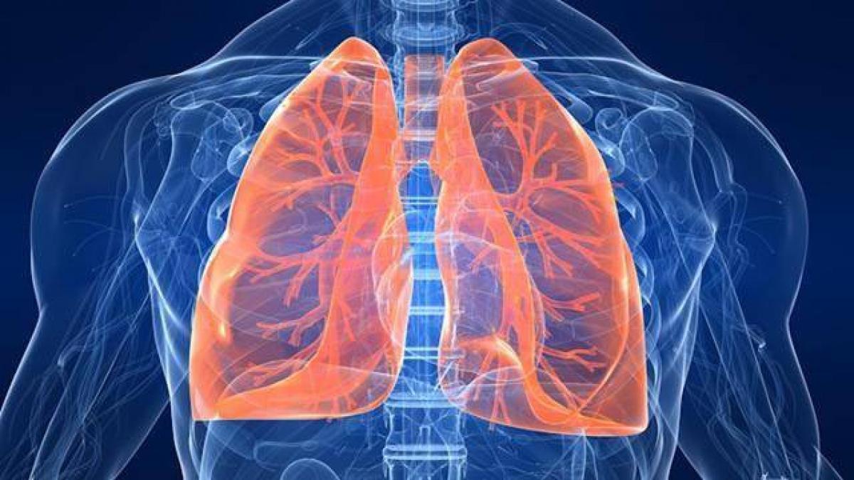 Novel test helps faster detection of pathogens in lungs