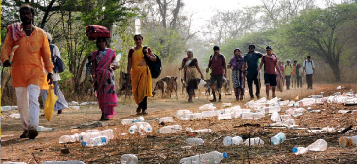 Plastic garbage poses threat to wild cats