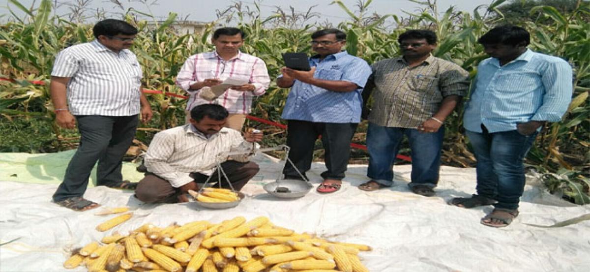 ‘PMFBY useful to farmers’