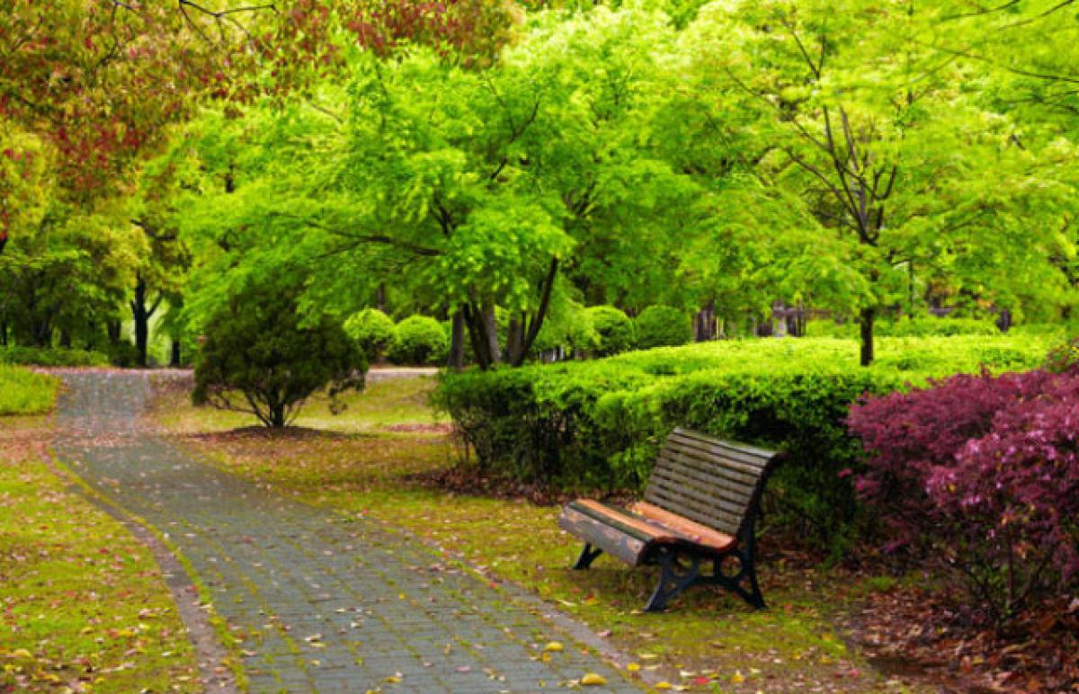 Living around green spaces checks diabetes, BP