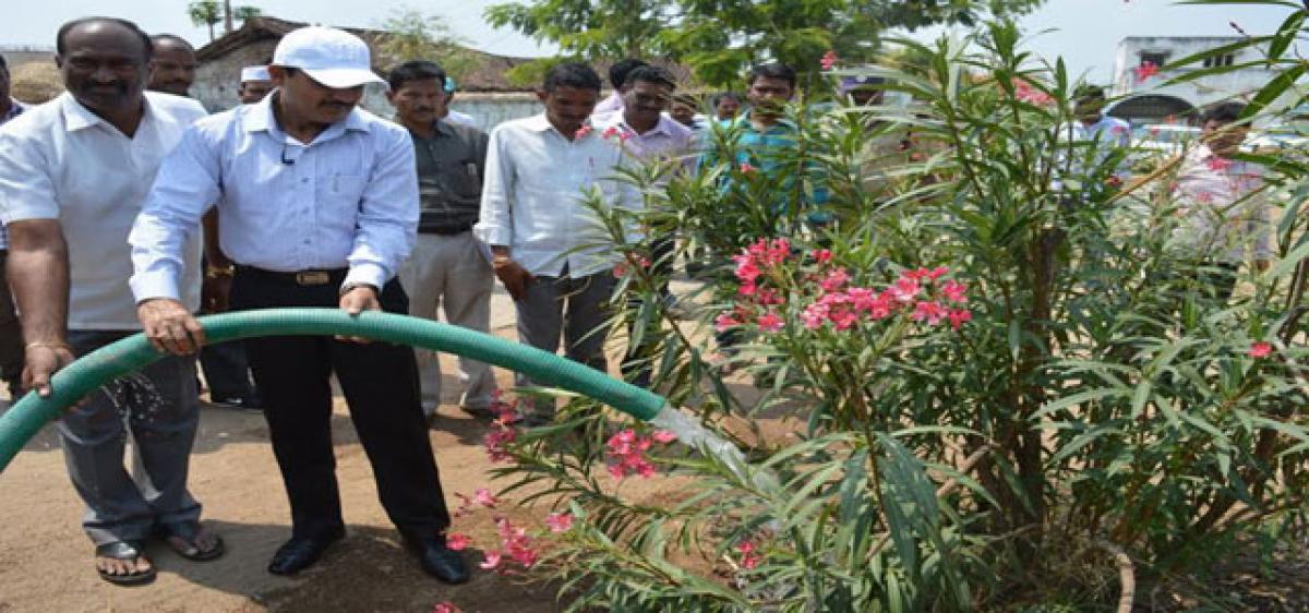 Observe every Tuesday as Watering Day: Collector