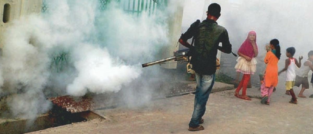 GHMC gears up to swat mosquito menace