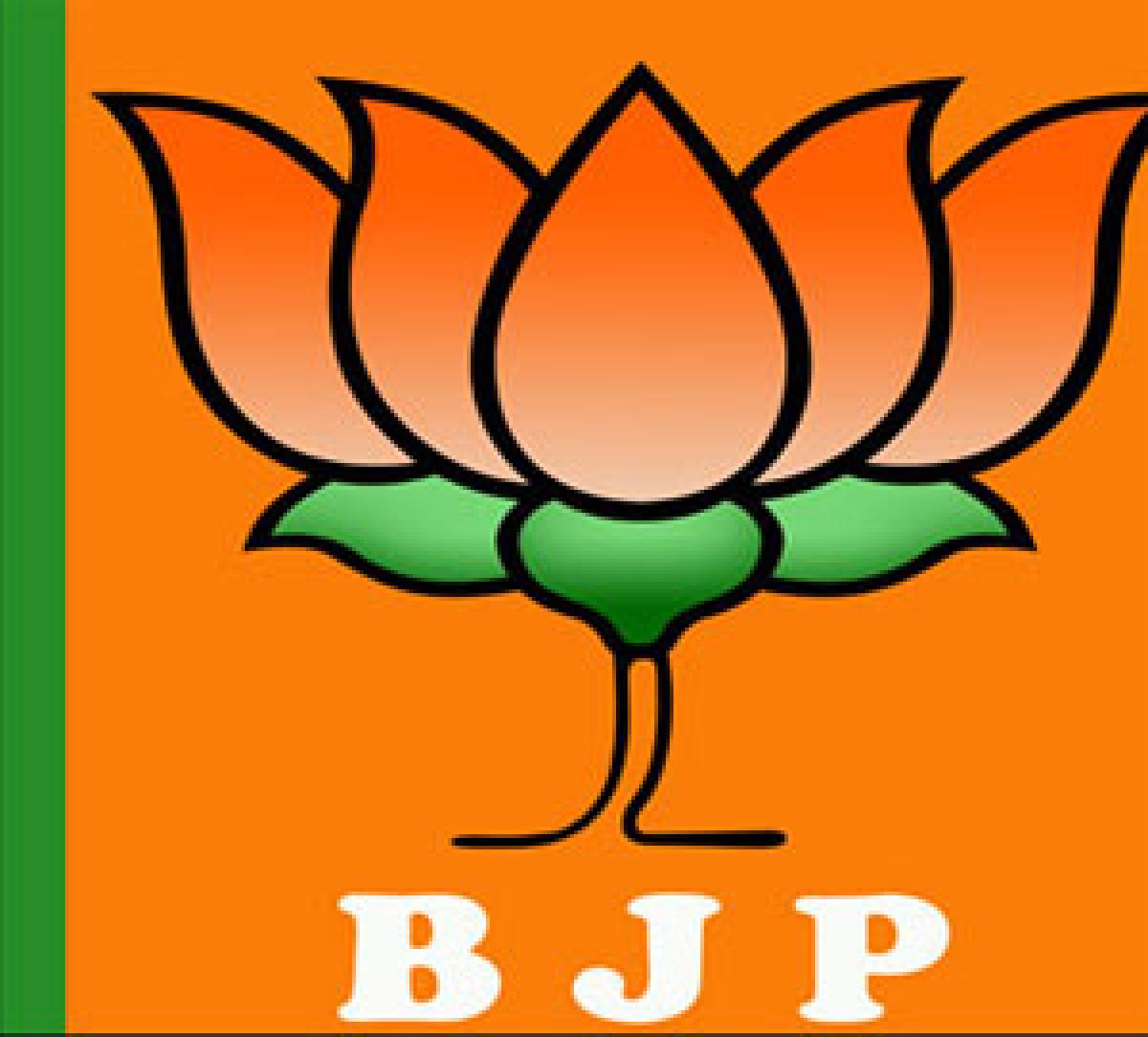 BJP blinks, sets up panel