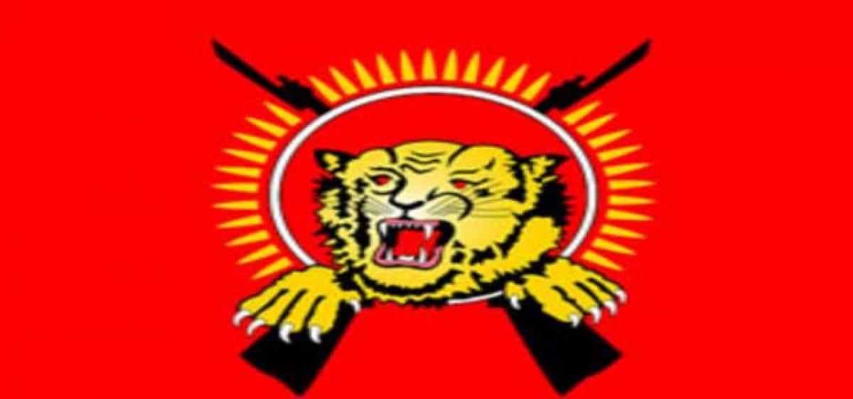 Are Tamil Tigers regrouping?