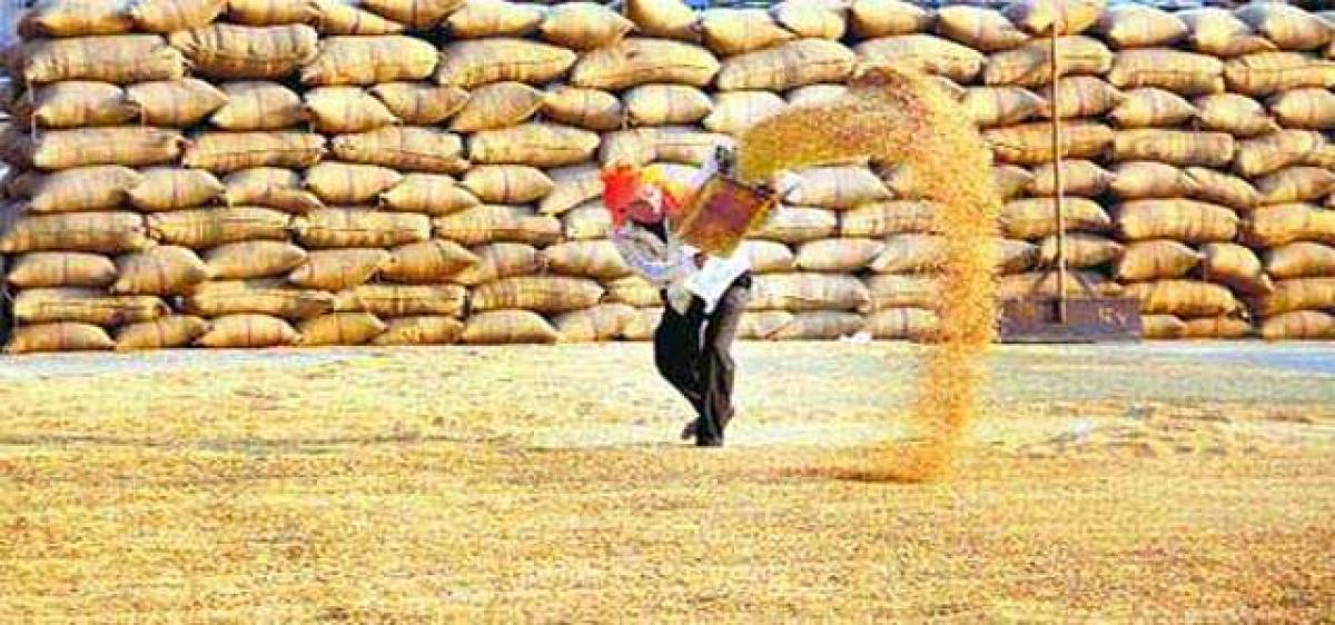 Cash crunch hits paddy procurement
