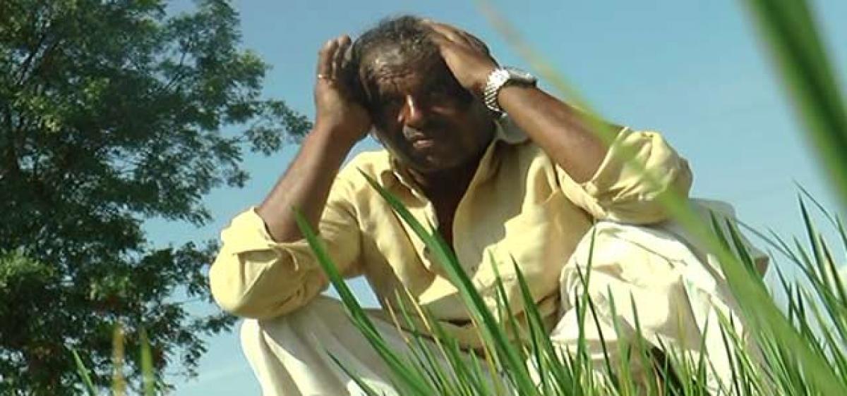 Soya farmers face tough time
