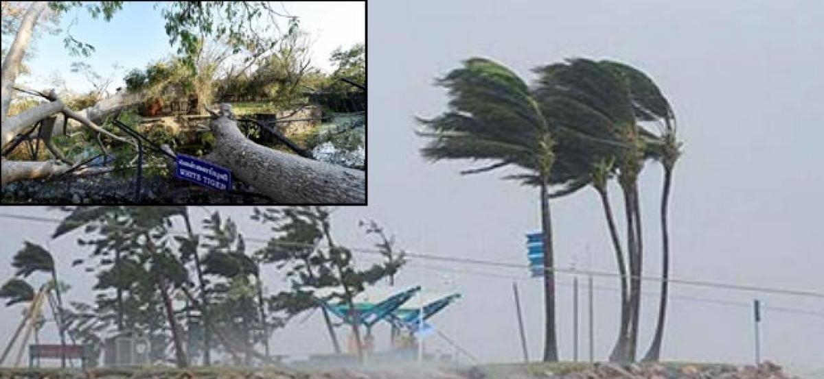 Central team to visit Tamil Nadu next week to assess cyclone damage