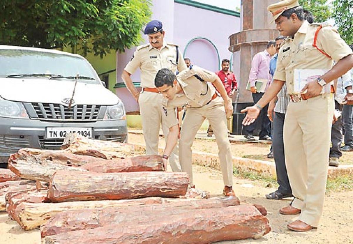 44 lakh worth red sanders logs seized