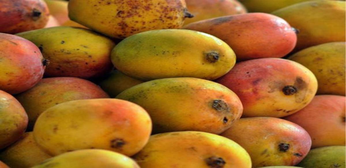 Artificial fruit ripening on the rise